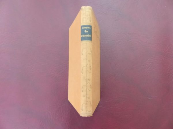 Ludwig Anzengruber, der Schandfleck