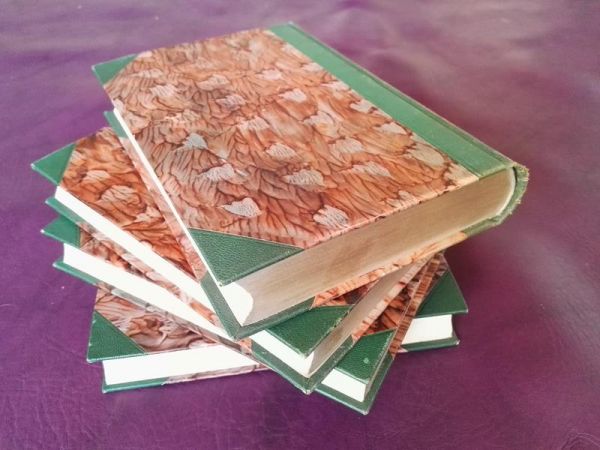 Wanderungen durch die Mark Brandenburg von Theodor Fontane (Band 1,2,4,5)