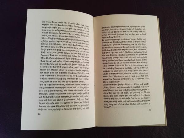 "Die schwarze Spinne" von Jeremias Gotthelf