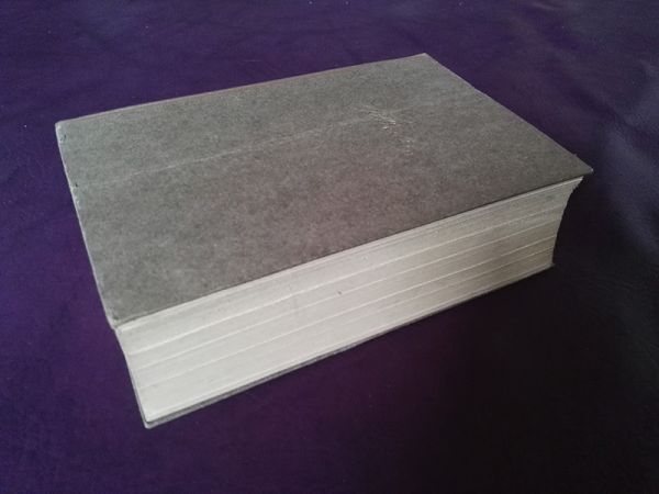 "Das Leben Friedrich Hölderlins" von Wilhelm Michel