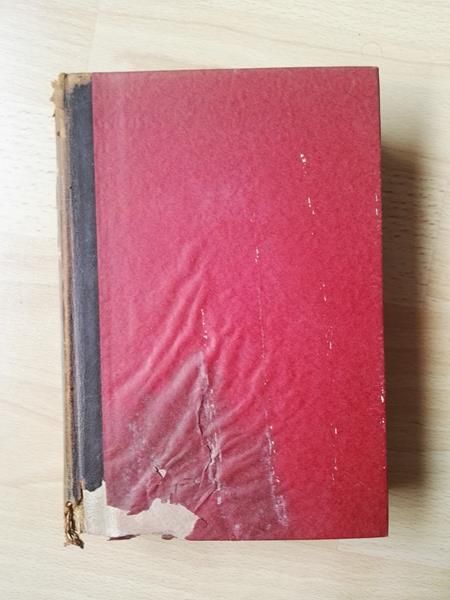 Schuld und Sühne von Dostojewski, Band 1-2