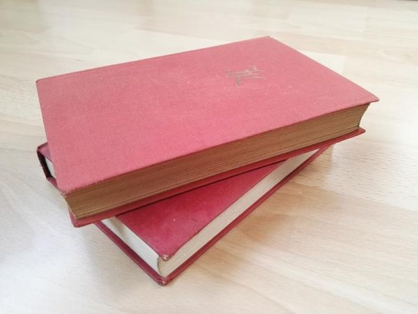 Amadeus von John Knittel (in 2 Bänden)