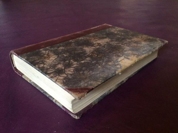 Die Millionenbraut von A. Dumas-Mützelburg