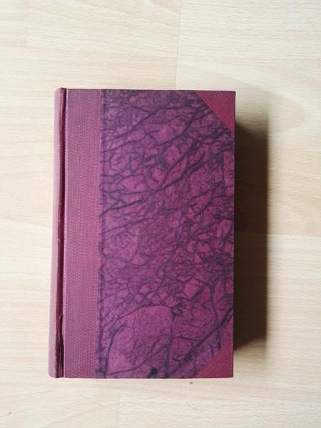 Karl der Zwölfte und seine Krieger von Verner von Heidenstam