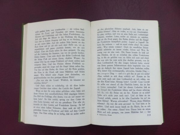 John Galsworthy, Die dunkle Blume