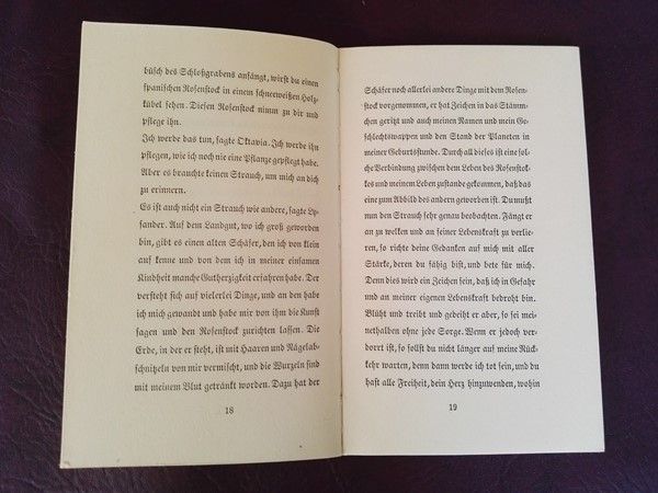 Der spanische Rosenstock von Werner Bergengruen