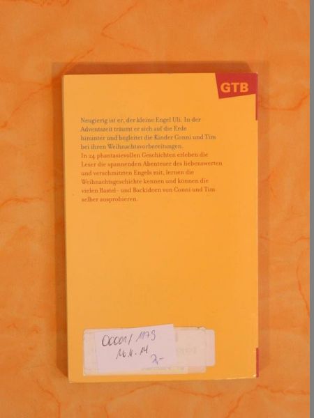 Ein kleiner Engel entdeckt Weihnachten - 24 Überraschungsgeschichten