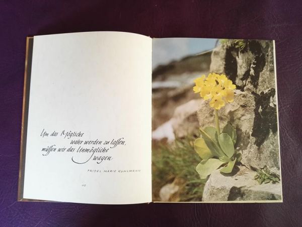 Alles bleibt und trägt Frucht