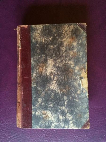 Die Millionenbraut von A. Dumas-Mützelburg