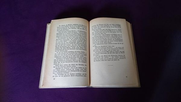 Der Katzensteg von Hermann Sudermann