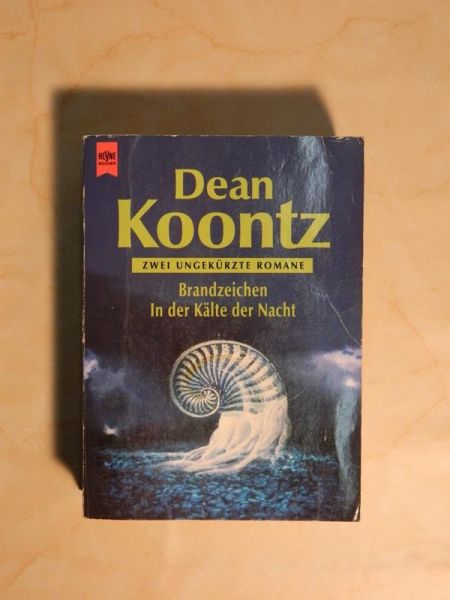 Dean Koontz - Brandzeichen, In der Kälze der Nacht