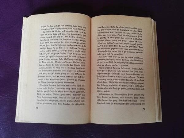 Karin von Schweden von Wilhelm Jensen