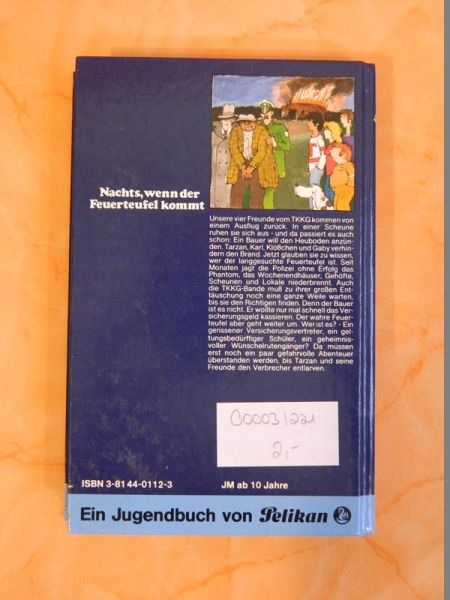 TKKG - Nachts, wenn der Feuerteufel kommt (JB 12)