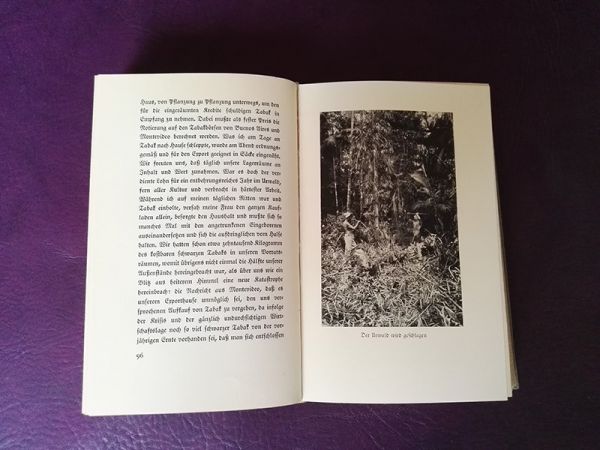 "Ein deutsches Schicksal im Urwald" von Wilhelm Ernst