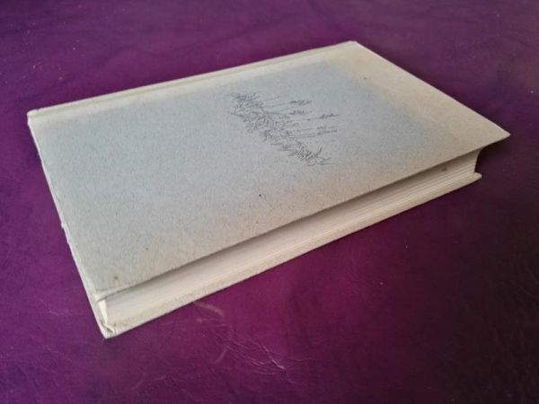 Die Fahrt nach Jamaica von Vestdijk