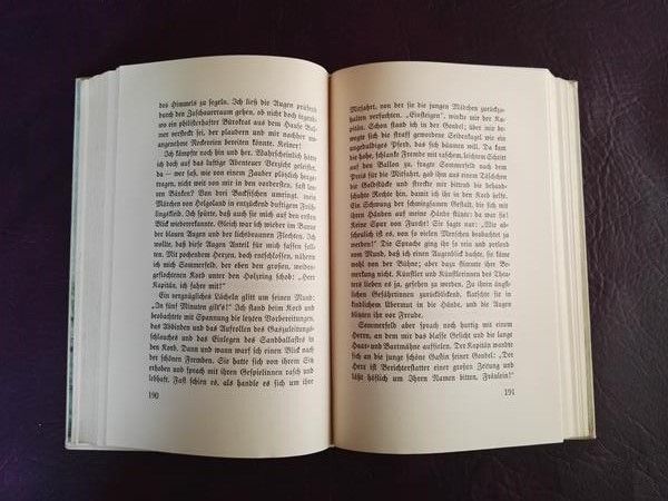 "Der Wetterwart" von J. C. Heer