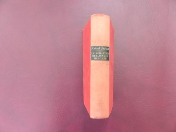 Marcel Proust, Im Schatten der jungen Mädchen