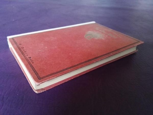 Im alten Eisen von Wilhelm Raabe