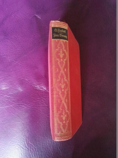 Frau Bovary von Gustave Flaubert