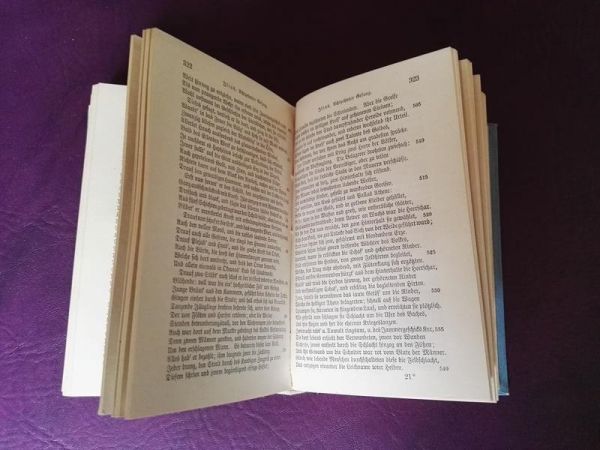 Homers Gesänge - Ilias und Odyssee von Johann Heinrich Voss