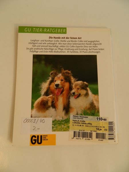 Collie und Sheltie, Dina von Hahn