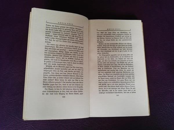 E.A. Poe Werke - Phantastische Fahrten (Band 5)