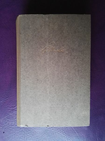 "Das Leben Friedrich Hölderlins" von Wilhelm Michel