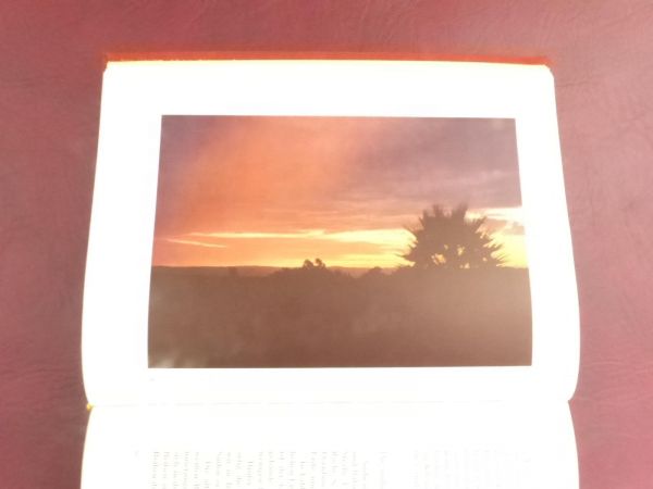 Helmut und Erba Blenck, Afrika in Farben