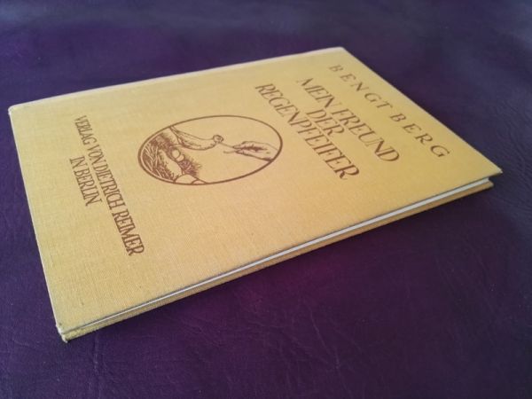 Mein Freund der Regenpfeifer von Bengt Berg