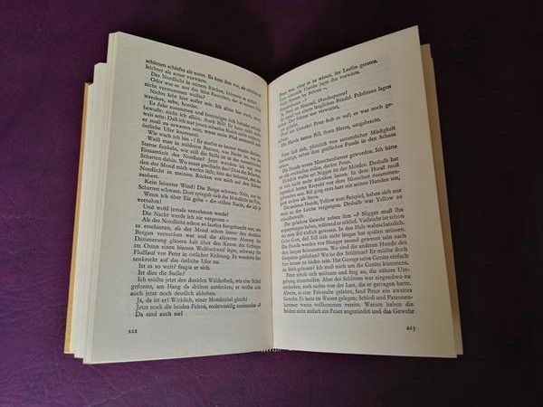 Schneesturm von A. E. Johann