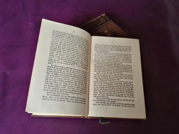 Friedrich Spielhagens Sämtliche Romane - Hammer und Amboss, Band 1-2