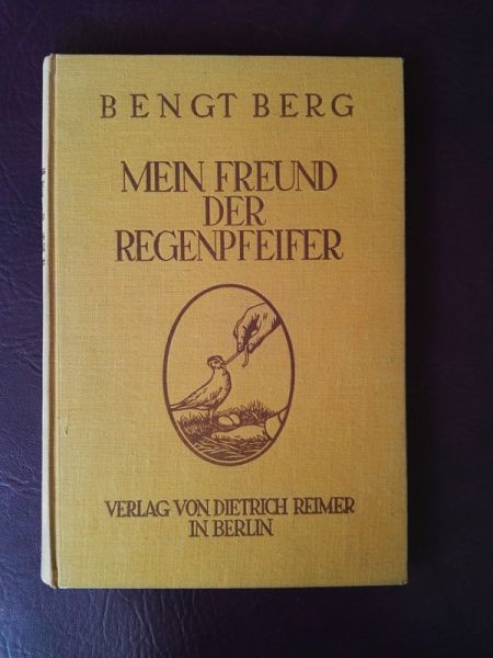 Mein Freund der Regenpfeifer von Bengt Berg