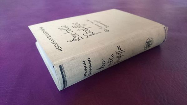 Der tolle Professor von Hermann Sudermann