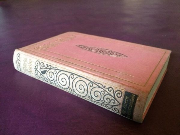 Die Chronik der Sperlingsgasse von Wilhelm Raabe