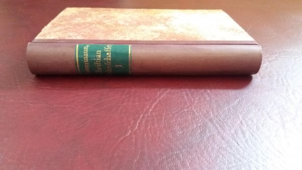 Jakob Wassermann, Christian Wahnschaffe Roman in 2 Bänden - Eva