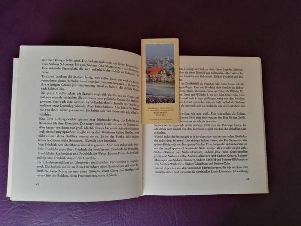 Deutschland deine Sachsen von Dieter Wildt