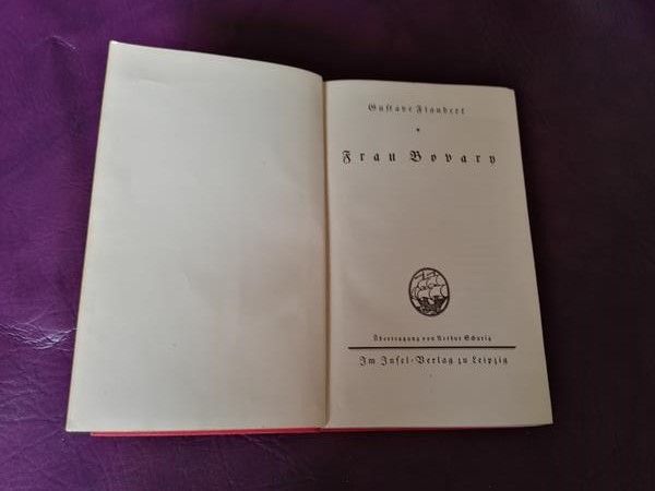 Frau Bovary von Gustave Flaubert