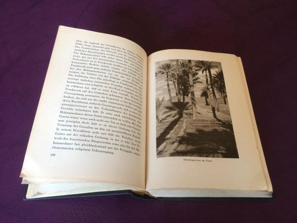 Afrikanischer Frühling von Friedrich Sieburg