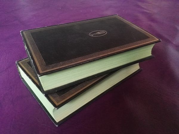 "Das Reisetagebuch eines Philosophen" von Graf Hermann Keyserling (in 2 Bänden)