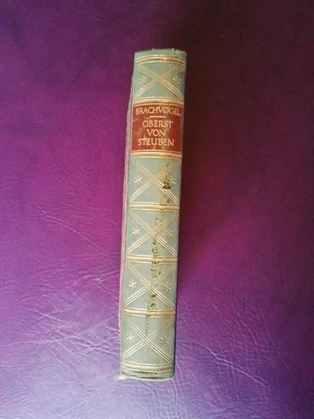 Oberst von Steuben von Brachvogel