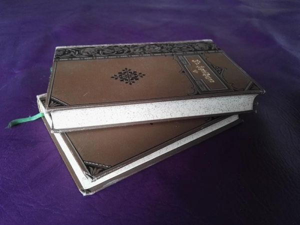 Friedrich Spielhagens Sämtliche Romane - Hammer und Amboss, Band 1-2