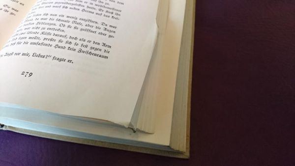 Der tolle Professor von Hermann Sudermann