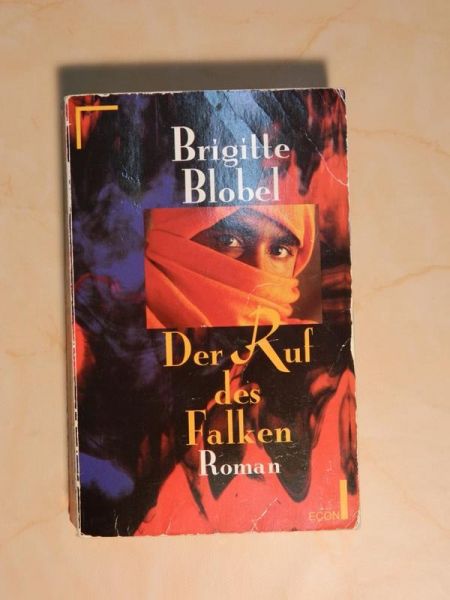 Der Ruf des Falken von Brigitte Blobel