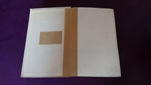 Die fremde Frau von Ben Ames Williams