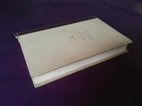 Gertrud von Hermann Hesse