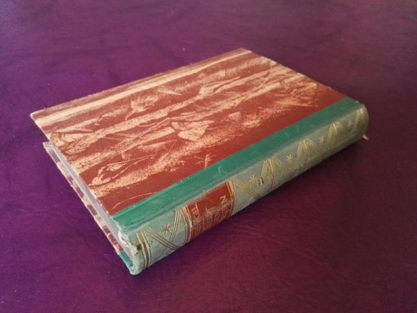 Oberst von Steuben von Brachvogel