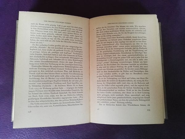 "Das Leben Friedrich Hölderlins" von Wilhelm Michel