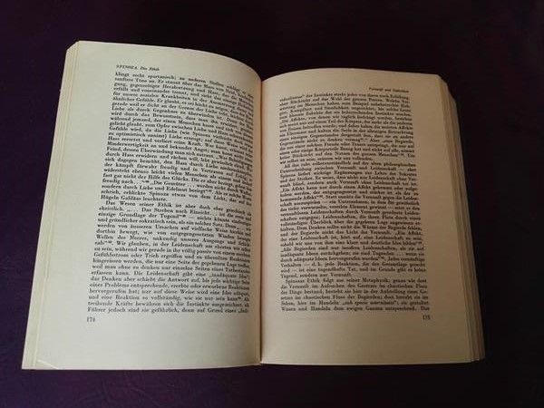 Die Grossen Denker von Will Durant