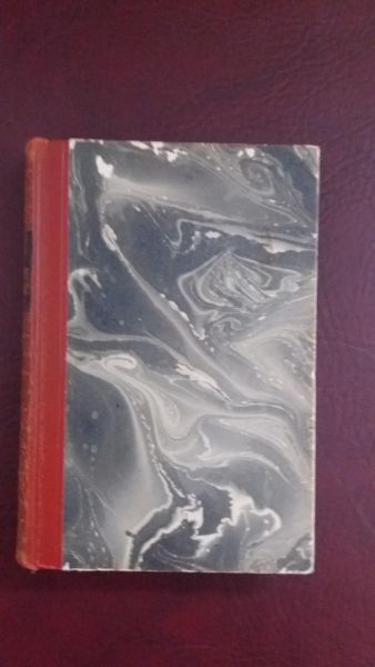 Rudolf Stratz, Montblanc Bergroman