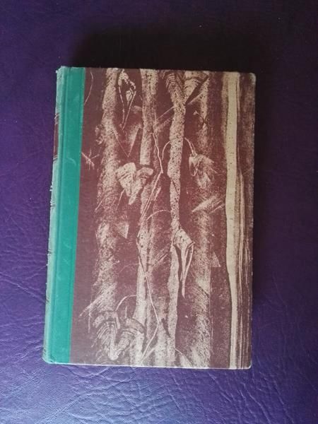 Oberst von Steuben von Brachvogel